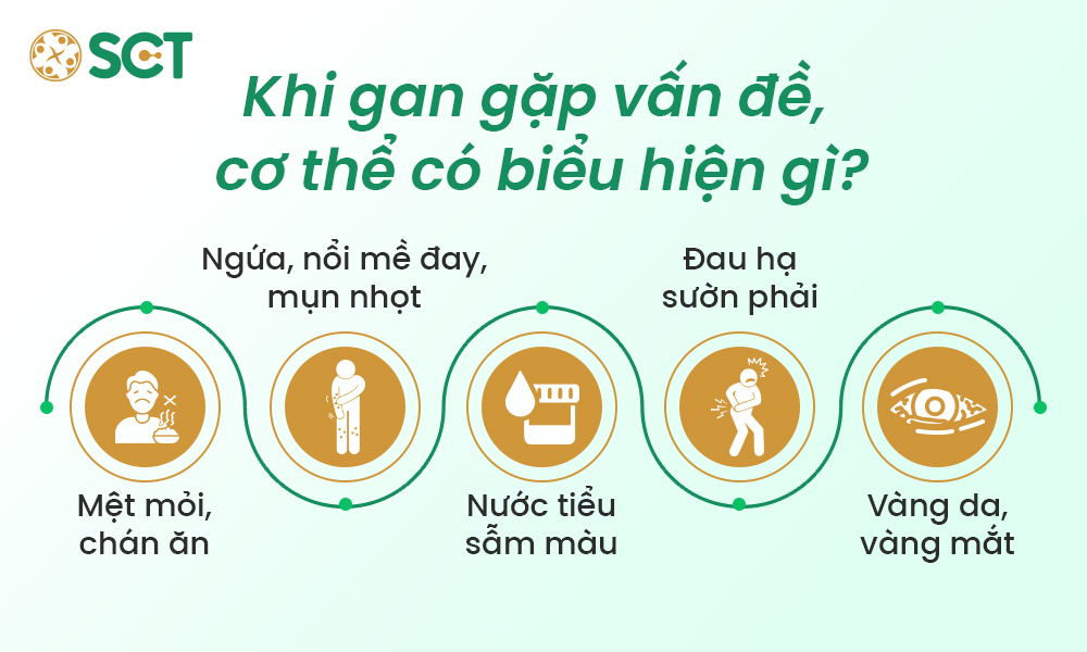 1. Những dấu hiệu bệnh gan dễ bị bỏ qua hoặc nhầm lẫn