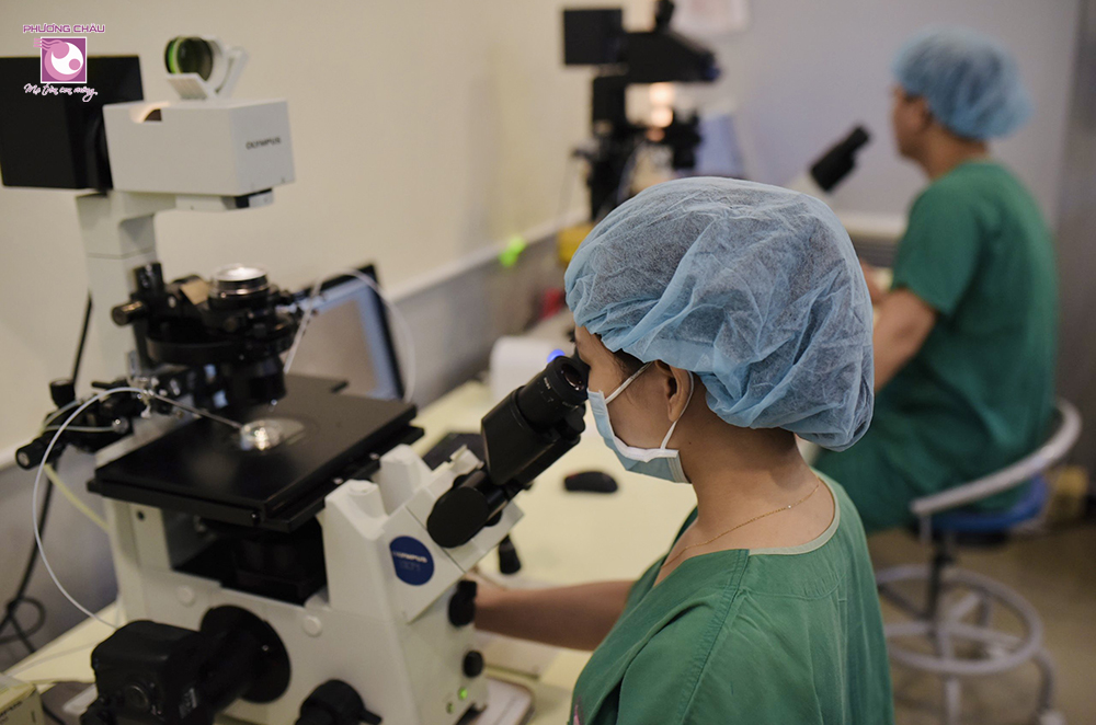 ivf-phương-chau-benh-vien-phuong-nam