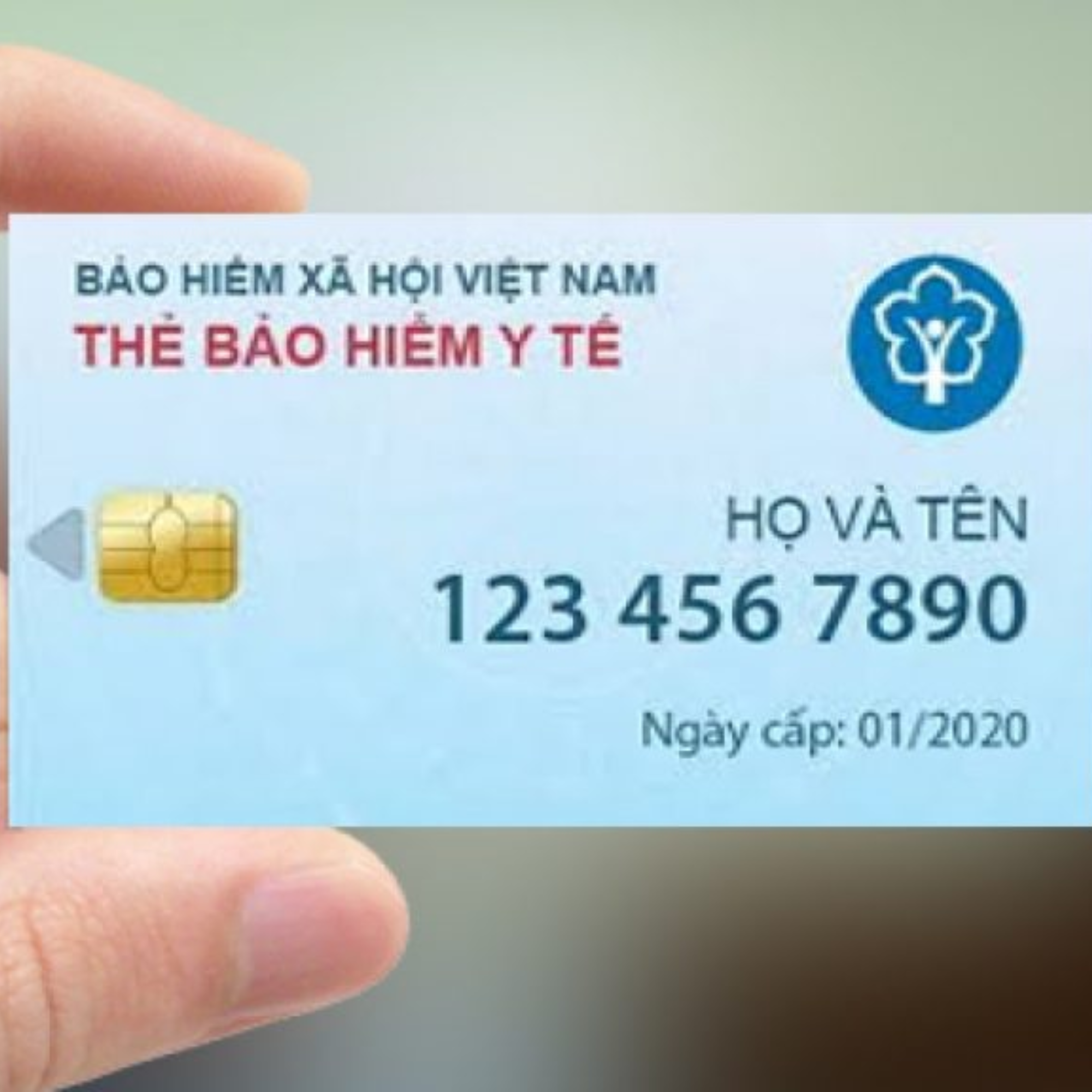 Health Insurance - Out-of-network